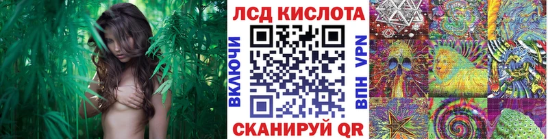 Марки N-bome 1,5мг  Купить где  Рудня 